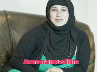 Amenamusllim