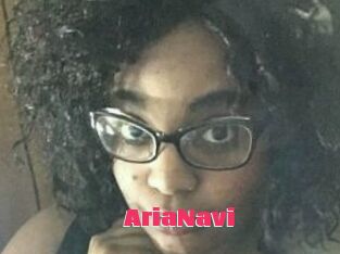 AriaNavi