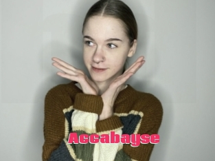 Accabayse