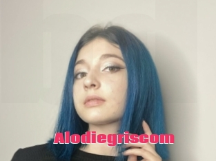 Alodiegriscom