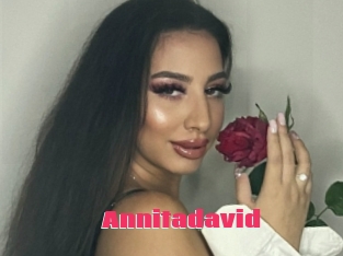 Annitadavid
