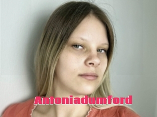 Antoniadumford