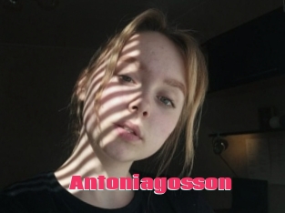 Antoniagosson
