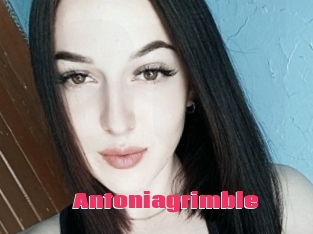 Antoniagrimble