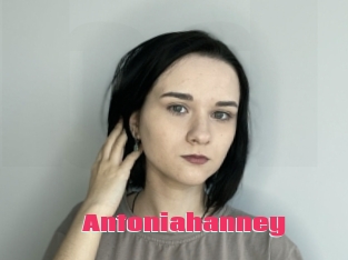 Antoniahanney
