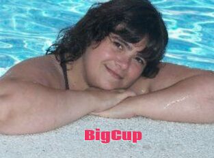 BigCup