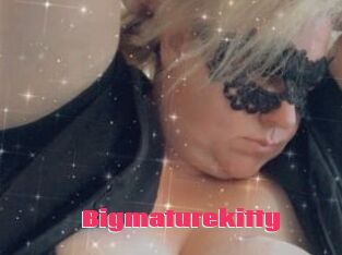 Bigmaturekitty