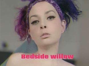 Bedside_willow
