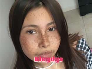 Bleydys