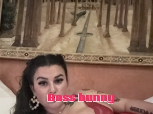 Boss_bunny
