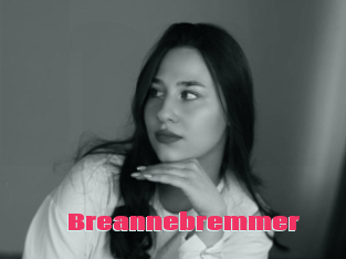 Breannebremmer