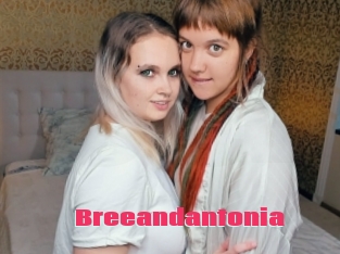 Breeandantonia