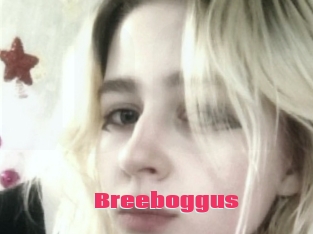 Breeboggus