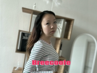 Breecoote