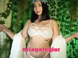 Brianateylor