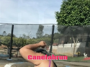 Canelabrun