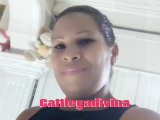 Cattleyadivina