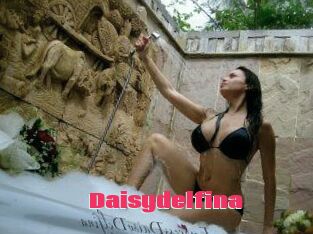 Daisydelfina