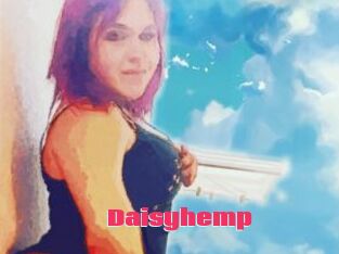 Daisy_hemp