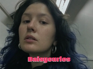Daisycurles
