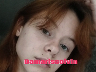 Damariscolvin