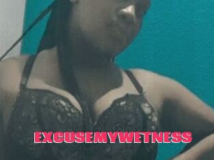 EXCUSEMYWETNESS