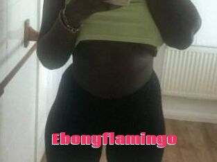 Ebony_flamingo
