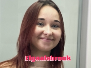 Elgaalsbrook