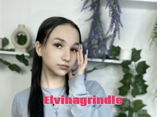 Elvinagrindle
