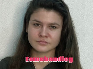 Esmehandley