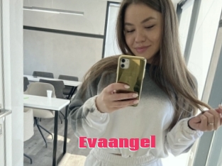 Evaangel