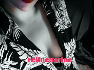 FelineSatine