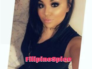 FilipinoSpice