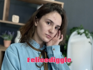 Felicediggle