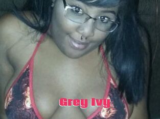 Grey_Ivy