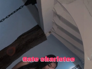 Gate_charlotee