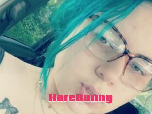 HareBunny
