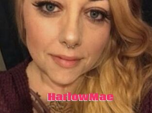 HarlowMae