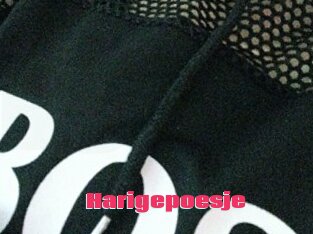 Harigepoesje