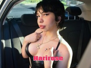 Harirose