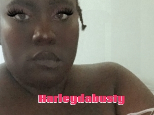 Harleydabusty