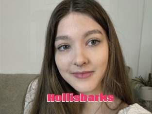 Hollisbarks