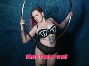 Hot_cute_cat
