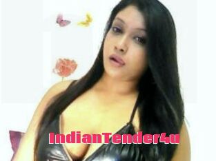 IndianTender4u