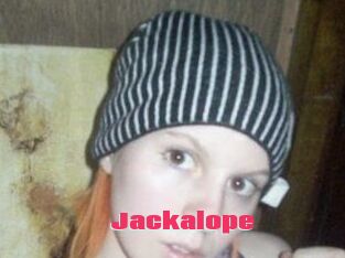 Jackalope