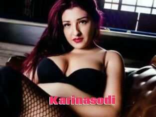 Karinasodi