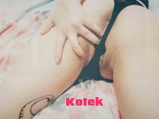Kotek