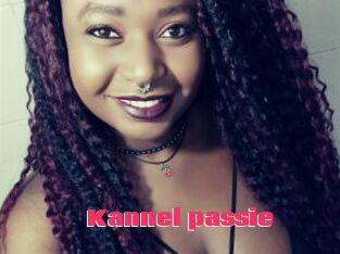 Kannel_passie