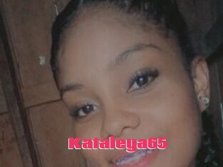 Kataleya65