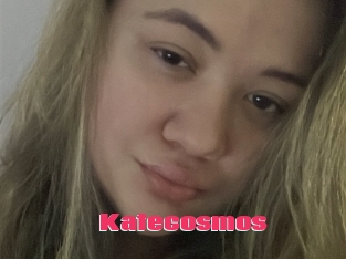 Katecosmos